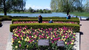 20170506_134859.jpg
